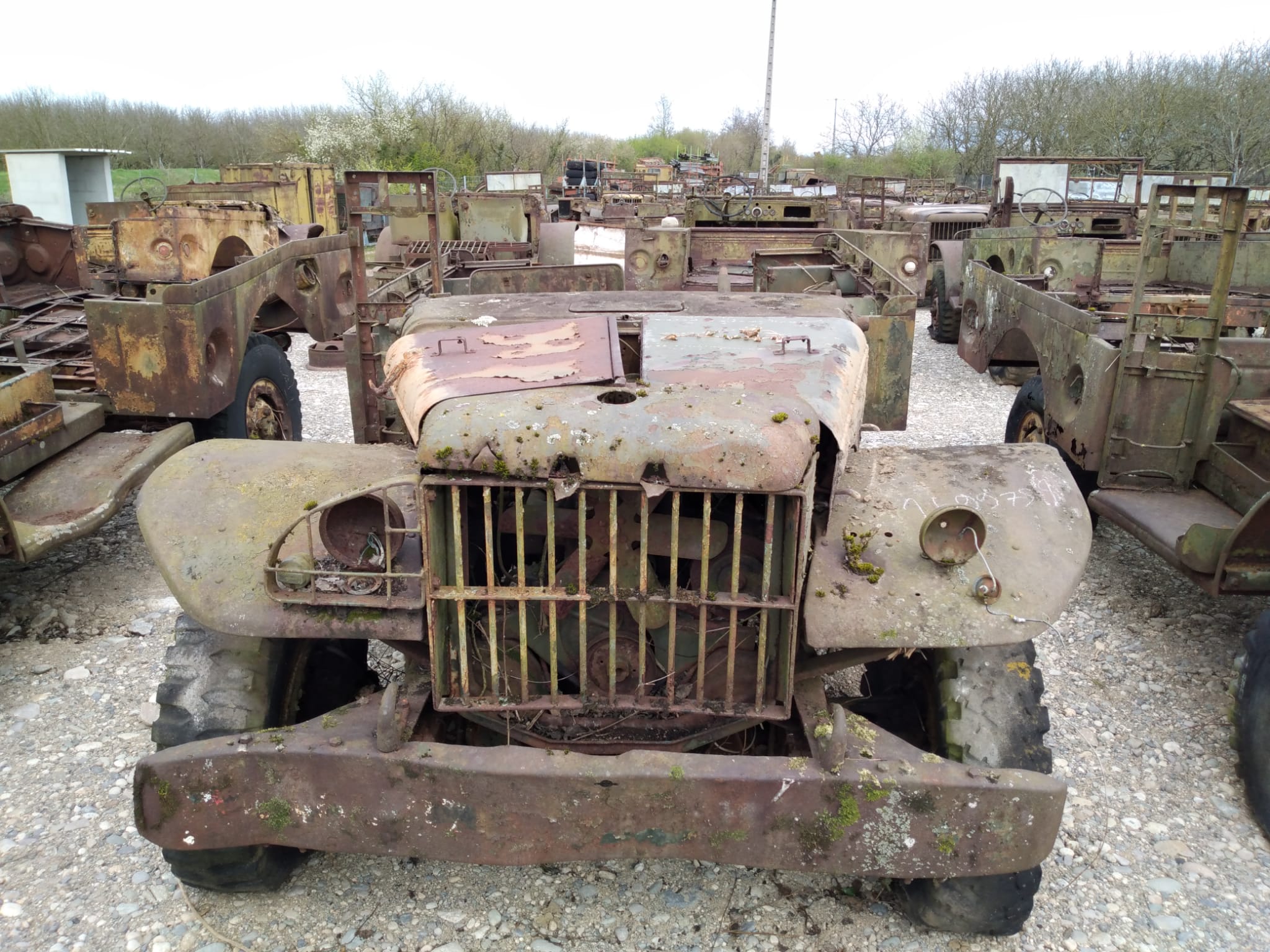 DODGE WC 51